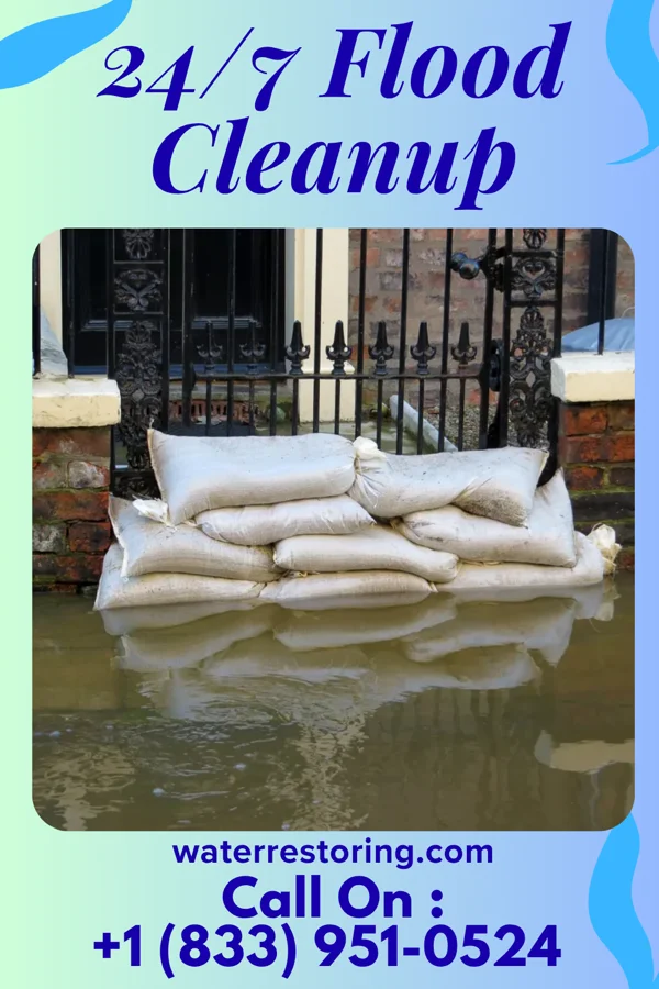 24/7 Flood Cleanup in Honaunau-Napoopoo, HI