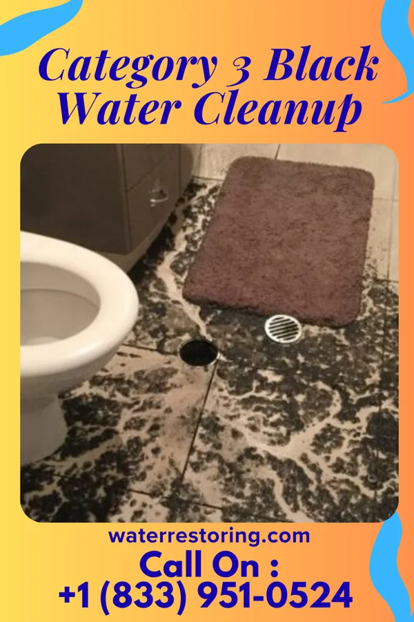 Category 3 Black Water Cleanup in Honaunau-Napoopoo, HI