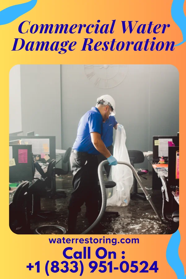 Commercial Water Damage Restoration in Honaunau-Napoopoo, HI