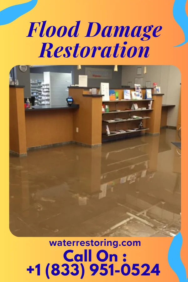 Flood Damage Restoration in Honaunau-Napoopoo, HI