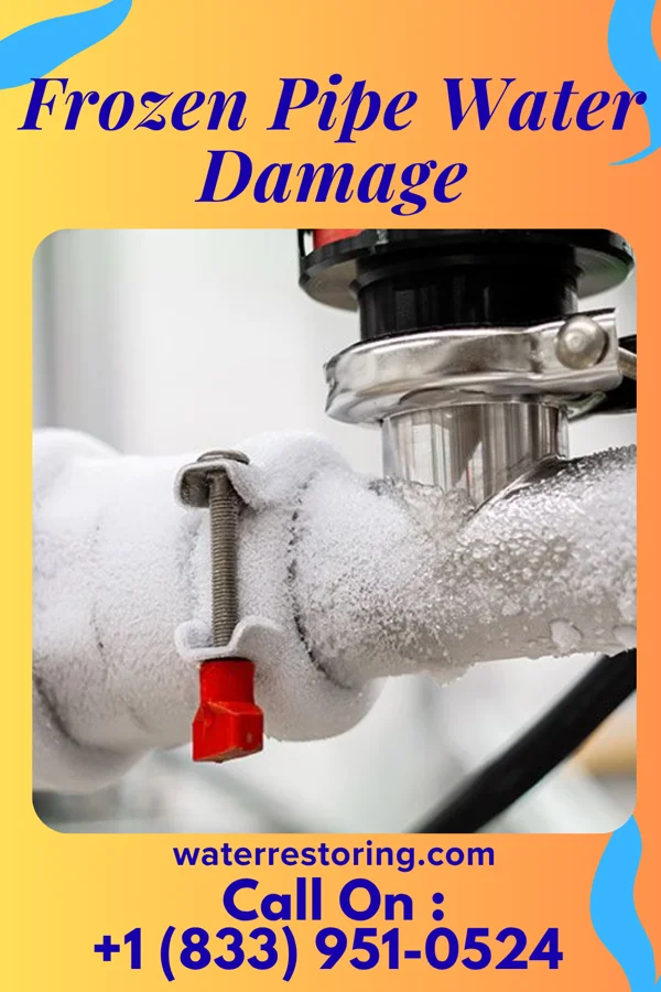 Frozen Pipe Water Damage in Honaunau-Napoopoo, HI