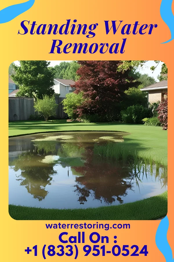 Standing Water Removal in Honaunau-Napoopoo, HI